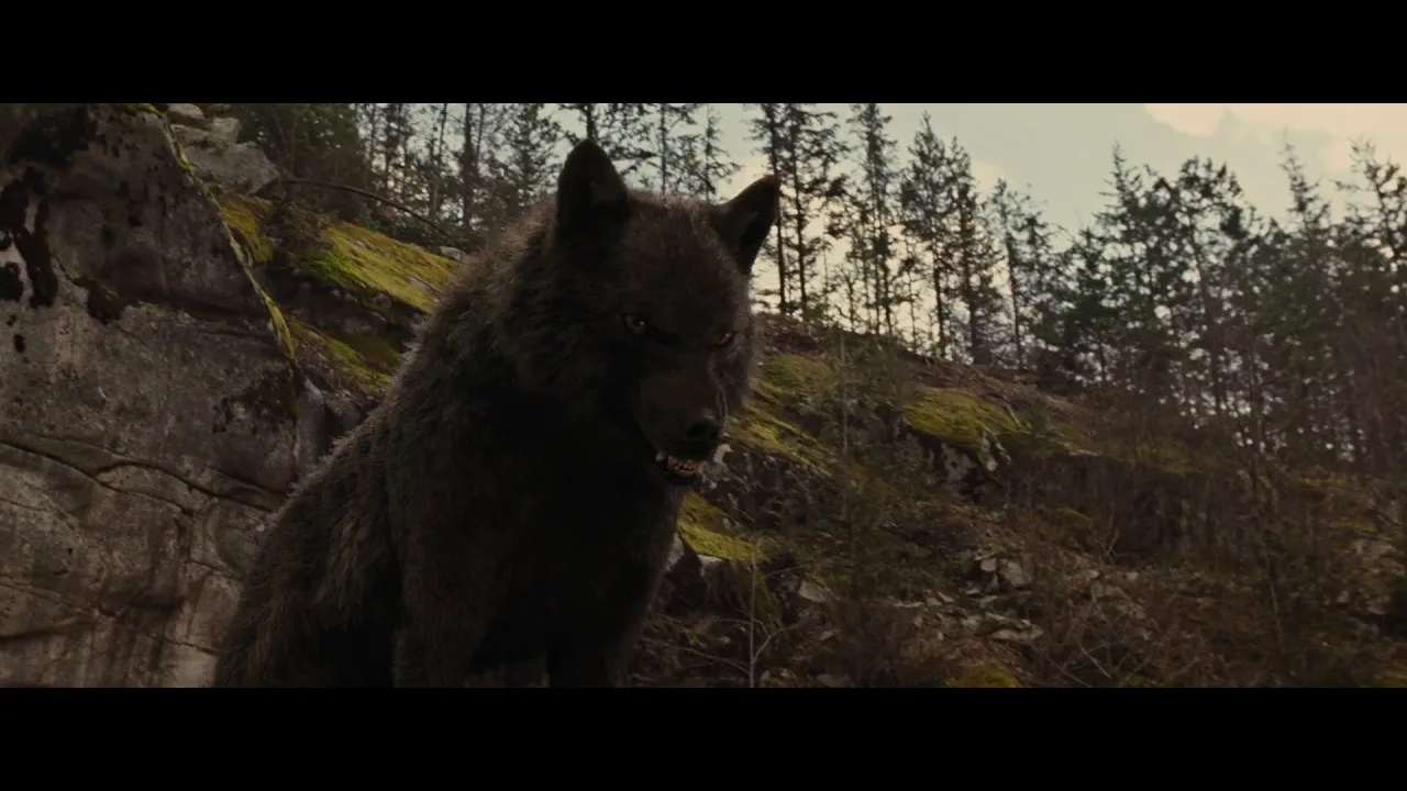 We Own The Night Wolves MV We Own The Night Wolves MV