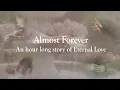 Download Lagu Through loving hands /// Relaxing Classical Music – Story of First Love /// Almost Forever.
