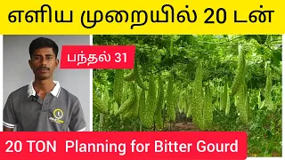 Download எளிய முறையில் 20 டன் 20 TON  Planning for Bitter Gourd. MP3