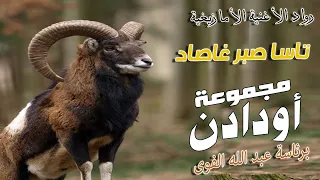 Oudaden Tassa Sbar Ghassad EXCLUSIVE 2023 مجموعة أودادن تاسا صبر غاصاد 