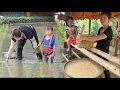 Download Lagu manufacture feed mills and plant rice for the new crop