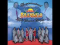 Sonora Skandalo - Usted Se Me Llevó La Vida