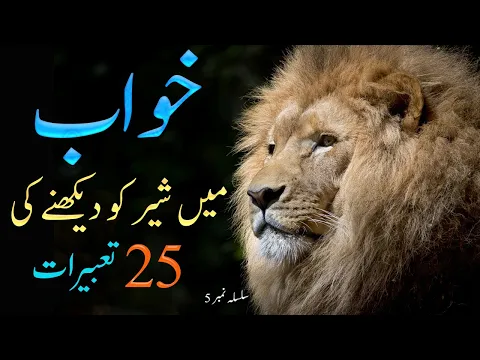 Download MP3 Khuwab main Sher ko Dekhny ki 25 Tabirat خواب میں شیر کو دیکھنے کی 25 تعبیرات