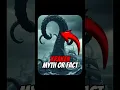 Download Lagu The Kraken: Myth or Fact? 🤯 #shorts #facts #story