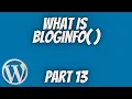 What Is BlogInfo Wordpress Theme Development Part 13 Tech Tian