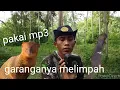 Download Lagu berburu hama garangan pake mp3 ( garanganya pada bingung )