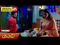 Download Lagu Kayal - Promo | 19 Aug 2025 | Tamil Serial | Sun TV