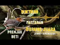 Download Lagu 🟡Masteran Burung Sangat AMPUH \u0026 MUDAH DI TIRU || Terbaru 2025,Suara Prenjak Betina