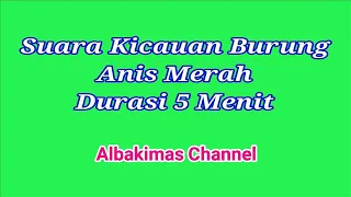 suara burung anis merah durasi 5 menit audio official