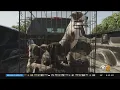 Shop Local Saturday Free Puppies documentary