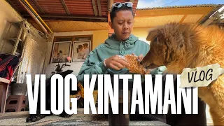 KINTAMANI VLOG | Akhirnya pulang kampung