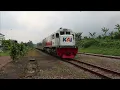 TRAIN HORN PARTY | Java Railfanning
