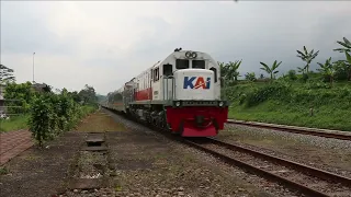 train horn party java railfanning