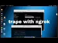 Using trape over with ngrok
