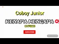 Download Lagu Coboy Junior - Kenapa Mengapa (Lyrics) - Youtube