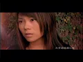 蔡健雅 Tanya Chua - 陌生人 Stranger (official 官方完整版MV)