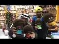متعبة كل الناس - بدر الشعيبي