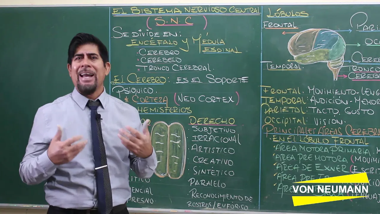 Bases biológicas del comportamiento humano - Parte 2 de 3