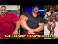 Meet The 3 Biggest Bodybuilders In The World