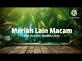 Download Lagu Meriah Lain Macam - Hael Husaini, Nadeera Zaini (lirik)