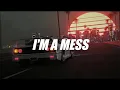 Lagu Bebe Rexha - I'm a Mess (Erik Loo UK Garage Remix)