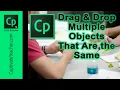Adobe Captivate - Drag and Drop Multiple Objects That Are the Same