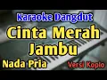 Download Lagu CINTA MERAH JAMBU - KARAOKE || NADA PRIA COWOK || Versi Koplo || CINTA LAHIR BATIN
