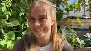 Test live | Exploring Helsinki