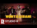 Download Lagu Taraful Rutenilor și Carmen Chindriș - Nuntă pe bani (Video oficial)