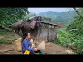 Download Lagu Single Mother Gets Help From Kind Strangers_Watermelon Harvest_The Daily Life of a Poor SingleMother