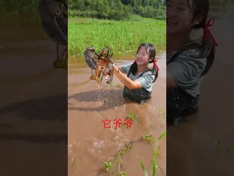 【村裏壹枝雪妹妹】今天和表妹壹起去抓龍蝦，她抓的全是小龍蝦，我抓了2只大的，回家做了個秘制龍蝦燒烤，味道真巴適#美食分享#農村生活 #shorts