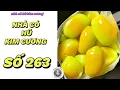 Lagu [Truyện audio] [FULL] NHÀ CÓ HŨ KIM CƯƠNG SỐ 263 ||  Nhà có hũ kim cương  ~ KÊNH CHÍNH CHỦ ~