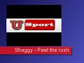 [ usport.pl ] EURO 2008 Shaggy - Feel the rush