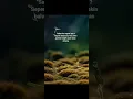 Download Lagu *Bukankah takdir kita sudah ditetapkan? Lalu mengapa kita tidak melaluinya dengan tenang?*