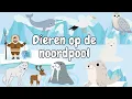 Lagu Dieren op de Noordpool Ontdekken | IJsberen, Zeehonden en Meer! ❄️🐧