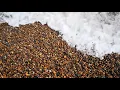 Waves On Shingle | 8 Hours Of Relaxing Waves On A Shingle Beach