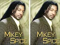 Mikey Spice - I Am I Said - May 2017 (Reggae)