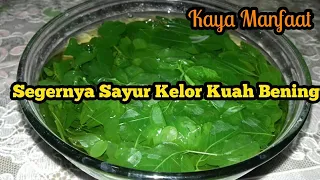 Download Cara Memasak Sayur Daun Kelor Enak dan Segar | Kuah Bening MP3