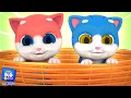 Download Lagu Lima Anak Kucing Kecil Lagu Berhitung  + Lainnya Video Edukasi Untuk Anak-Anak