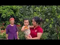 Download Lagu Single mom works hard daily, unaware the hunter is building a new home to welcome her