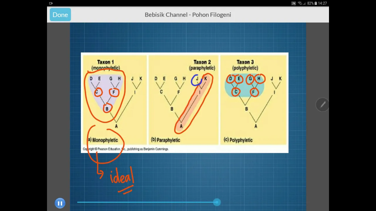 Pohon Filogeni - Kladogram - Filogenetik - Kelas XII