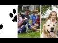 Barks N Bubbles 315 488-2080
