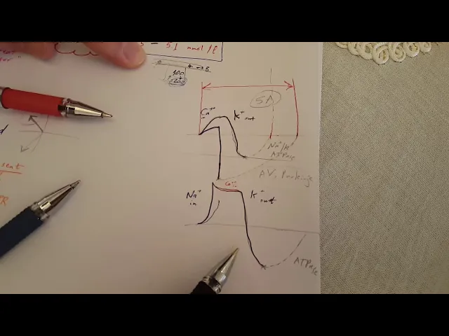 ECG made easy - Hyperkalemia & Hypokalemia