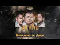 Los Buitres De Culiacán Sinaloa - Borracho de Amor