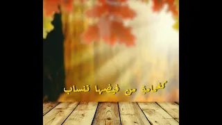 بعض النفوس جمالها جذاب دندنها