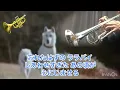 サンセット・メモリー〜杉村尚美〜