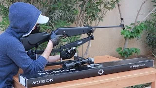 ماهي البندقية الهوائية المناسبة للمبتدئين ومعلومات مهمة للمبتدئين Airgun 