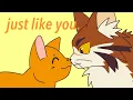 just like you Fireheart Tigerclaw AU PMV