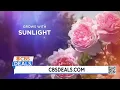 CBS Deals - Cottage Farms Direct