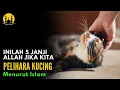 Download Lagu 5 Janji Allah Bagi Orang Yang Suka Memelihara Kucing